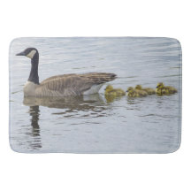 Canadian Goose and Goslings