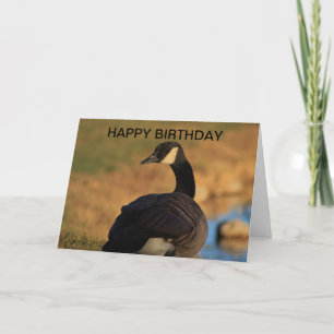 Canadian Goose Birthday Card Kort
