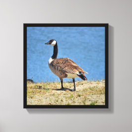 Canadian Goose Canva Wrap Print Canvastryck