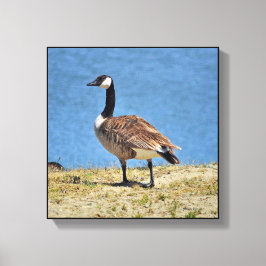 Canadian Goose Canva Wrap Print Canvastryck
