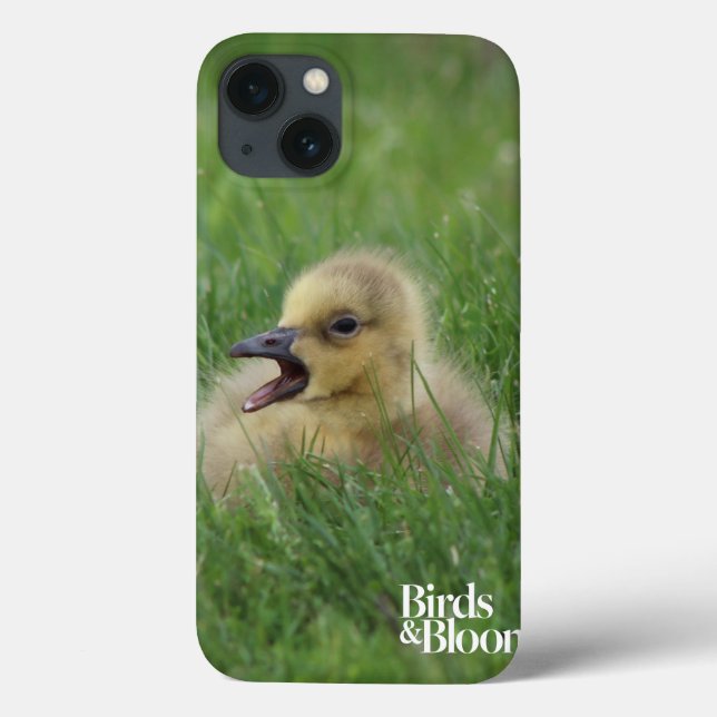 Canadian Goose Chick (Baksida)