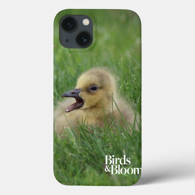 Canadian Goose Chick (Baksida)