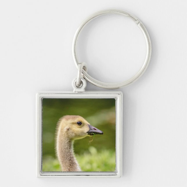 Canadian Goose (Gosling) Fyrkantig Silverfärgad Nyckelring (Framsidan)