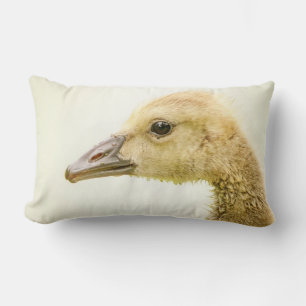 Canadian Goose (Gosling) Lumbarkudde