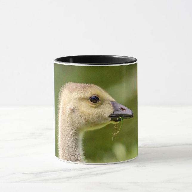 Canadian Goose (Gosling) Mugg (Center)