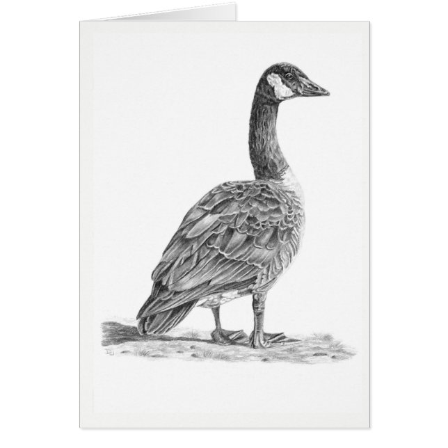 Canadian Goose Hälsningskort (Framsidan)