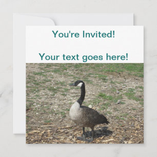 Canadian Goose Inbjudningar