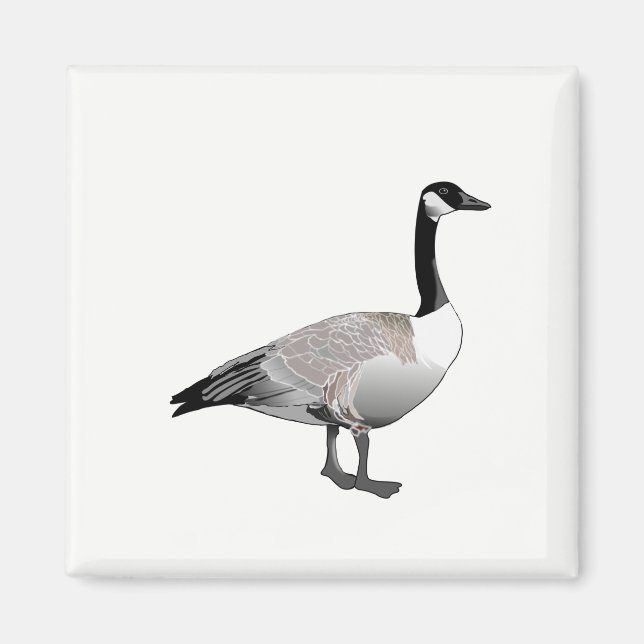 Canadian Goose Magnet (Framsidan)