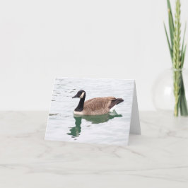 Canadian Goose Note Card (tomt) Kort