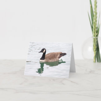Canadian Goose Note Card (tomt) Kort