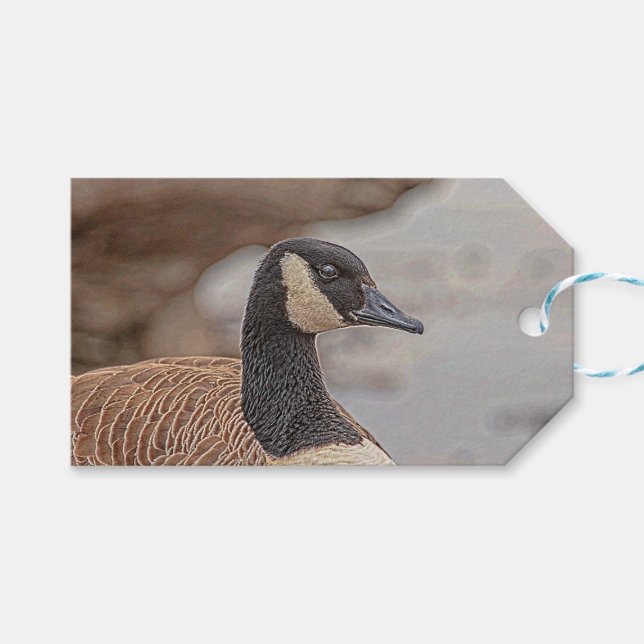 Canadian Goose Porträtt Presentetikett (Framsidan (Horisontell))
