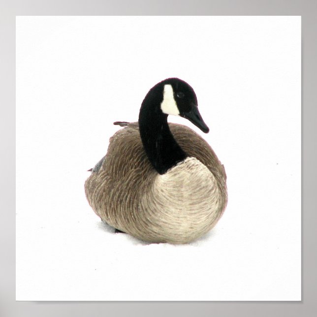Canadian Goose Poster (Framsidan)