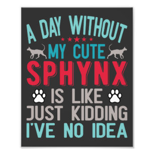 Canadian Hairless Sphynx Cat Owner Funny Say Fototryck