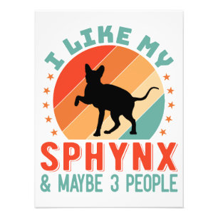 Canadian Hairless Sphynx Cat Owner Humor Fototryck