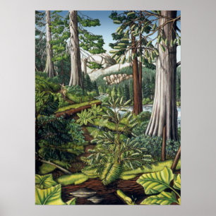 Canadian Ligcape Painting Print by Kim Hunter Poster