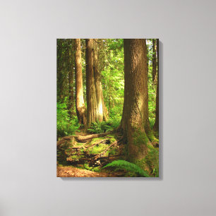 Canadian Ligcape Väster Kusten Forest Art Skriv ut Canvastryck