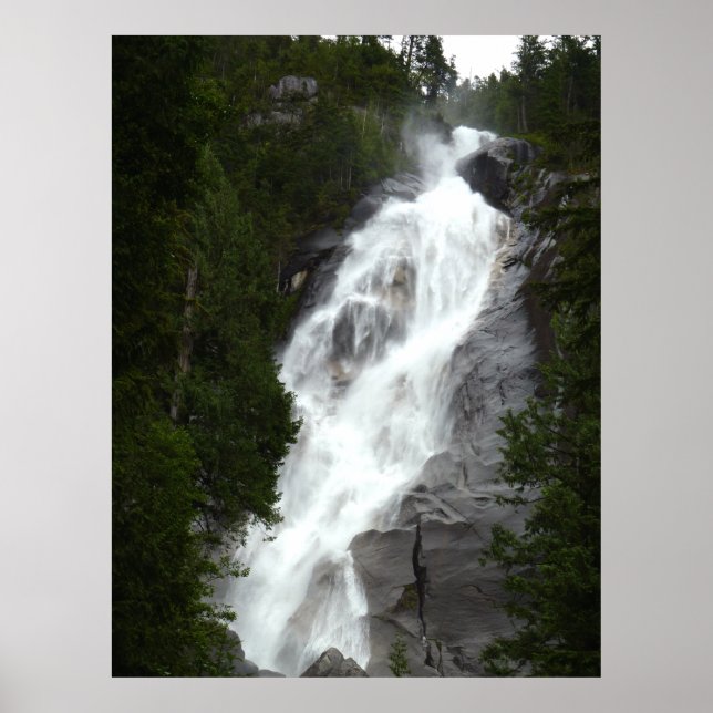 Canadian Ligcape Väster Kusten Forest Art Skriv ut Poster (Framsidan)