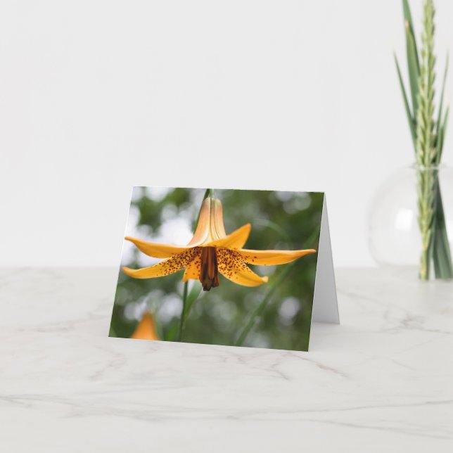 Canadian Lily Flower Photography  Anteckningskort (Framsida)