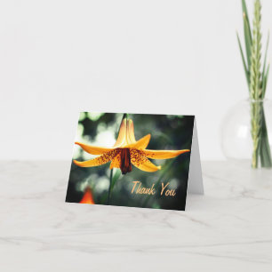Canadian Lily Flower Tack Kort