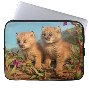 Canadian Lynx Kittens, Alaska Laptop Fodral