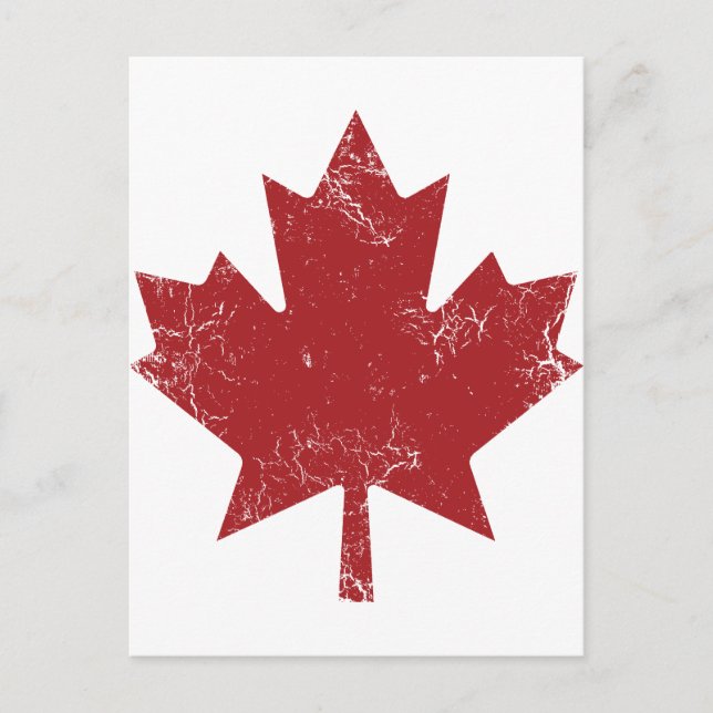 Canadian Maple Löv (Distress) Vykort (Framsida)