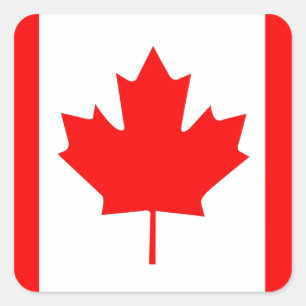 Canadian Maple Löv Fyrkantigt Klistermärke