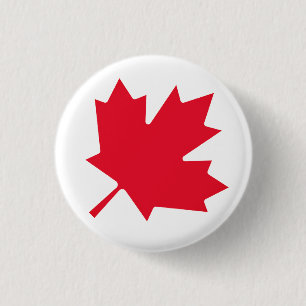 Canadian Maple Löv Knapp