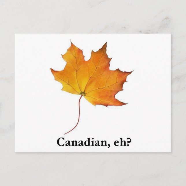 Canadian Maple Löv Vykort (Framsida)
