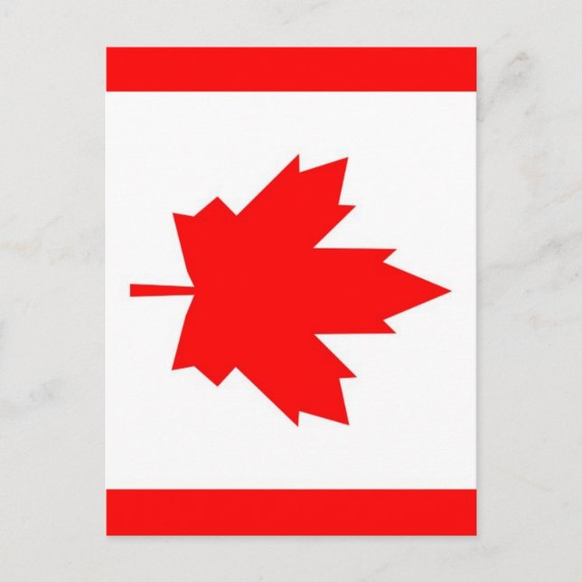 Canadian Maple Vykort (Framsida)