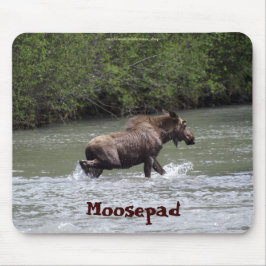 Canadian Moose Funny Wildlife Mousepad Musmatta