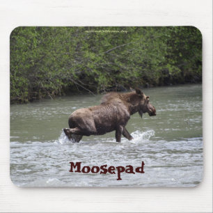 Canadian Moose Funny Wildlife Mousepad Musmatta