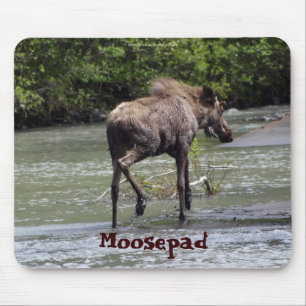 Canadian Moose Funny Wildlife Mousepad Musmatta