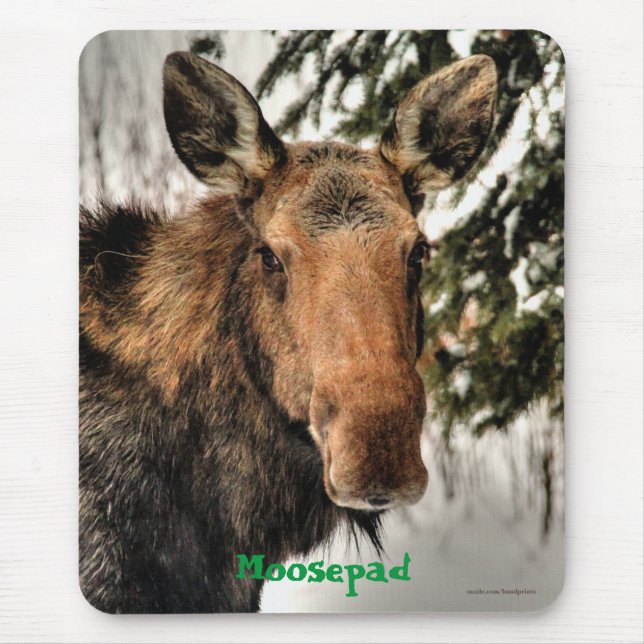 Canadian Moose Porträtt Funny Wildlife Mousemat Musmatta (Framsidan)