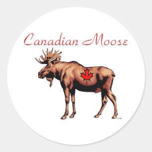 Canadian Moose Stickers Runt Klistermärke