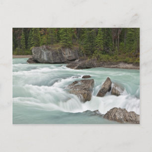 Canadian River Post Card Vykort