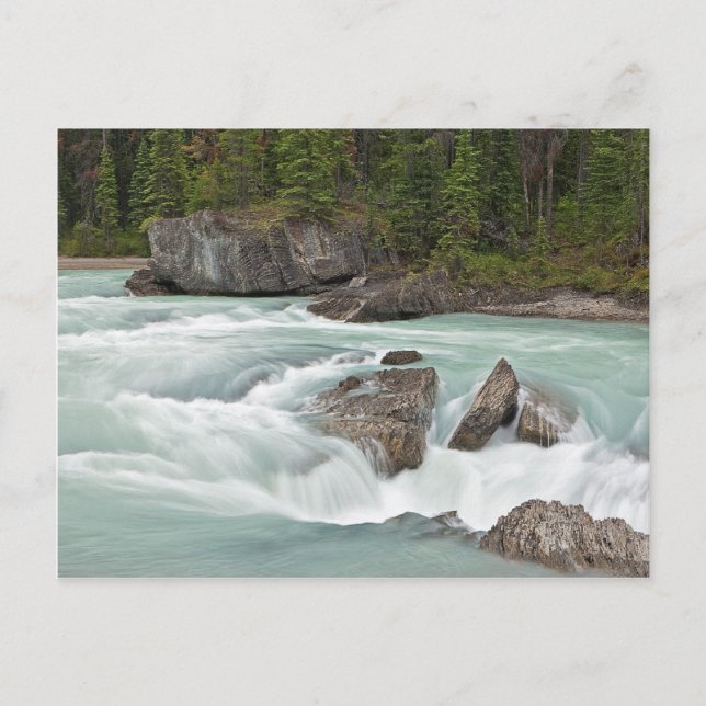 Canadian River Post Card Vykort (Framsida)