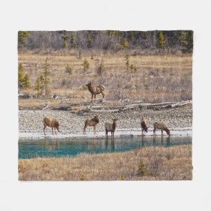 Canadian Rockies Wapiti (Elk) Fleecefilt