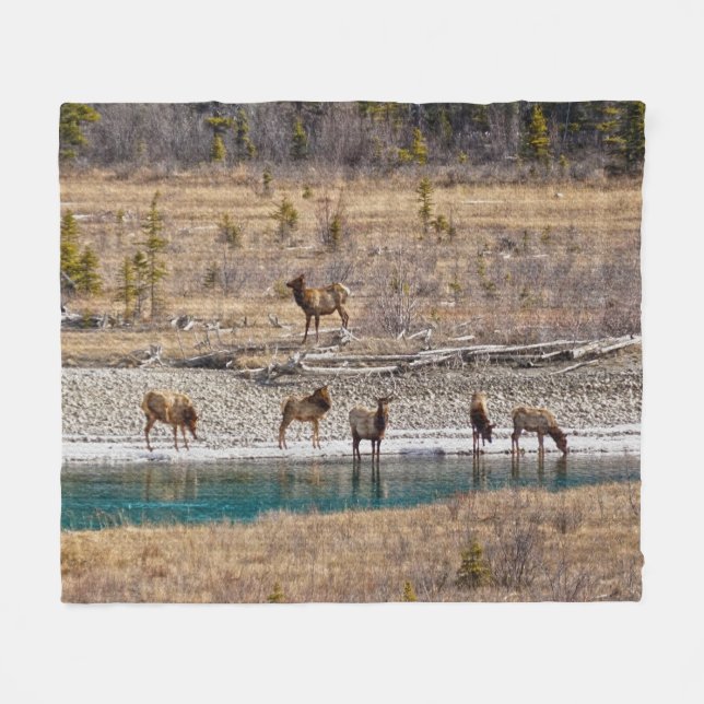 Canadian Rockies Wapiti (Elk) Fleecefilt (Framsidan (Horisontell))