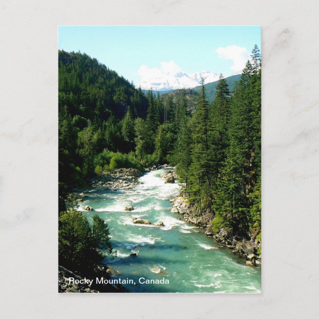 Canadian Rocky Mountain Postcard Vykort (Framsida)