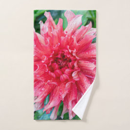 Canadian Rosa Dahlia Art Print
