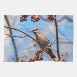 Canadian Wildlife: Bohemian Waxwing Photography Kökshandduk