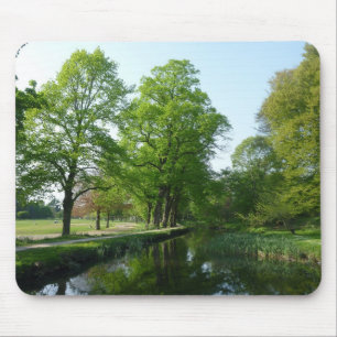 Canal - Bute Park, Cardiff Musmatta