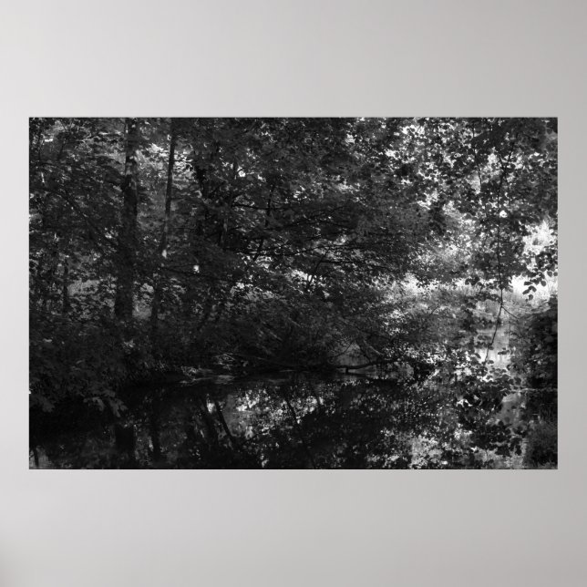 Canal, Bute Park, Cardiff Poster (Framsidan)