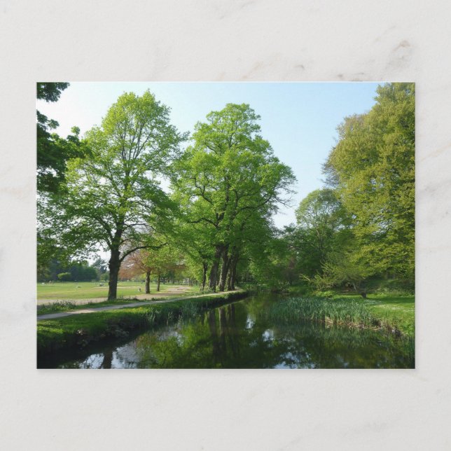 Canal - Bute Park, Cardiff Vykort (Framsida)