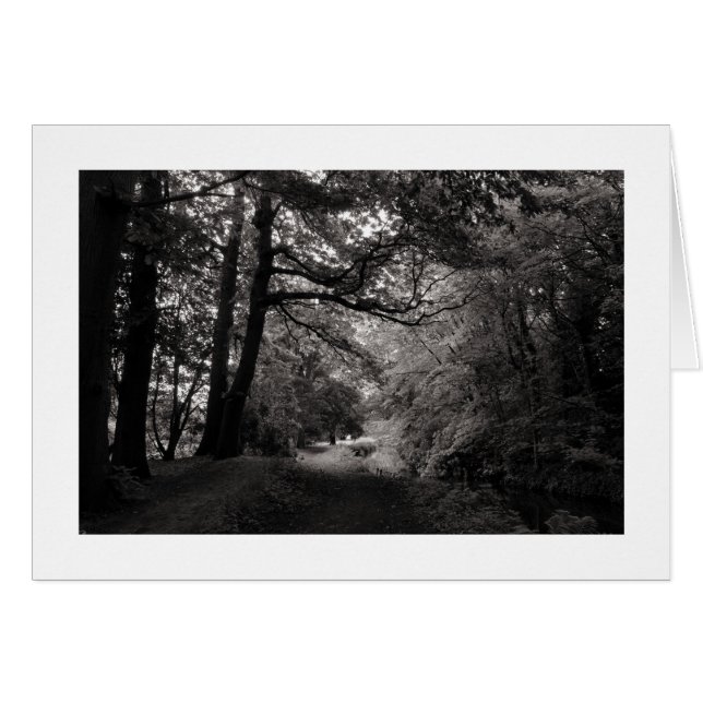 Canal, Bute Park, Cardiff, Wales (Borderade) Hälsningskort (Framsidan Horizontal)