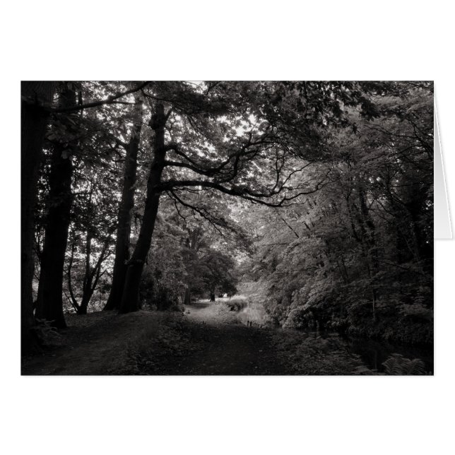 Canal, Bute Park, Cardiff, Wales Hälsningskort (Framsidan Horizontal)