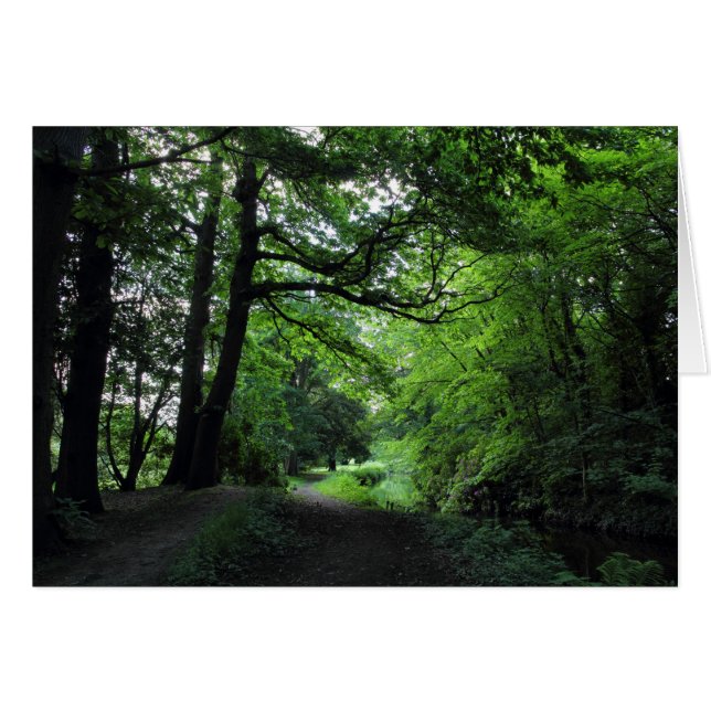 Canal, Bute Park, Cardiff, Wales Hälsningskort (Framsidan Horizontal)