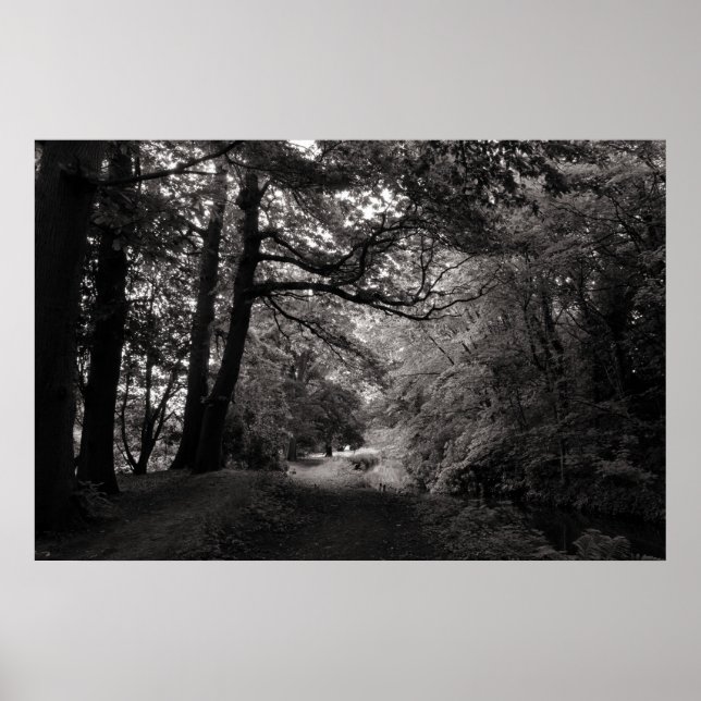 Canal, Bute Park, Cardiff, Wales Poster (Framsidan)