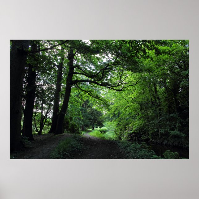 Canal, Bute Park, Cardiff, Wales Poster (Framsidan)