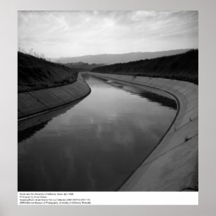 Canal nära UC Davis, 1966 Poster